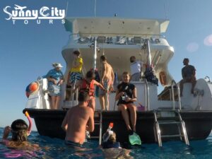 Mega Sahl Hasheesh 7in1